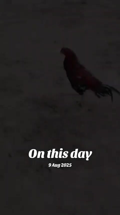 @azahrkhan5