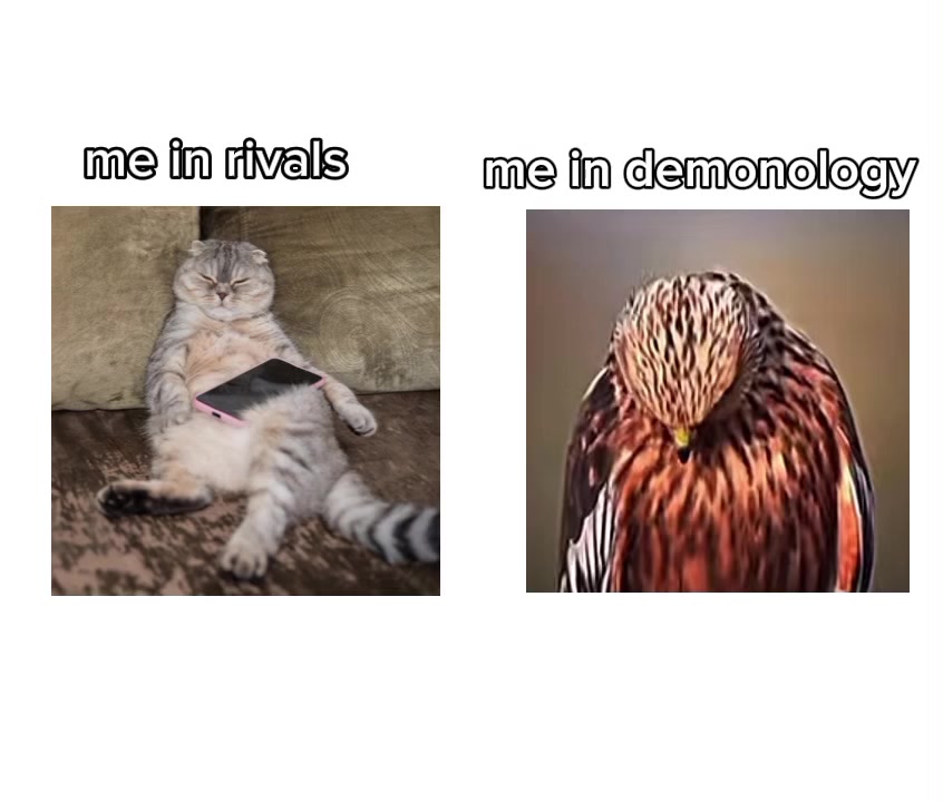 @niko