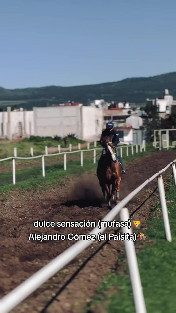 @carriles altos de jalisco🐎