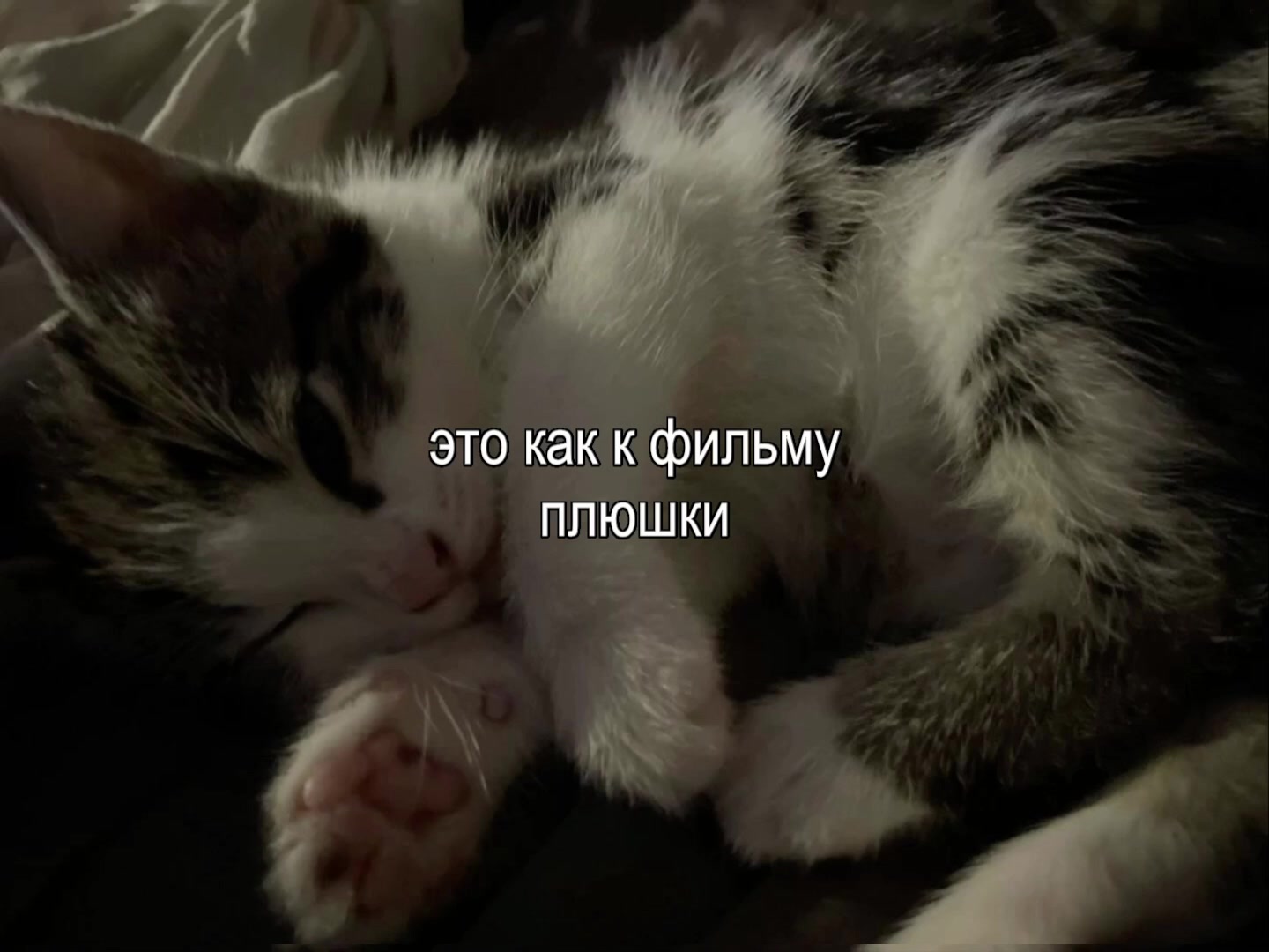 @для липсингов