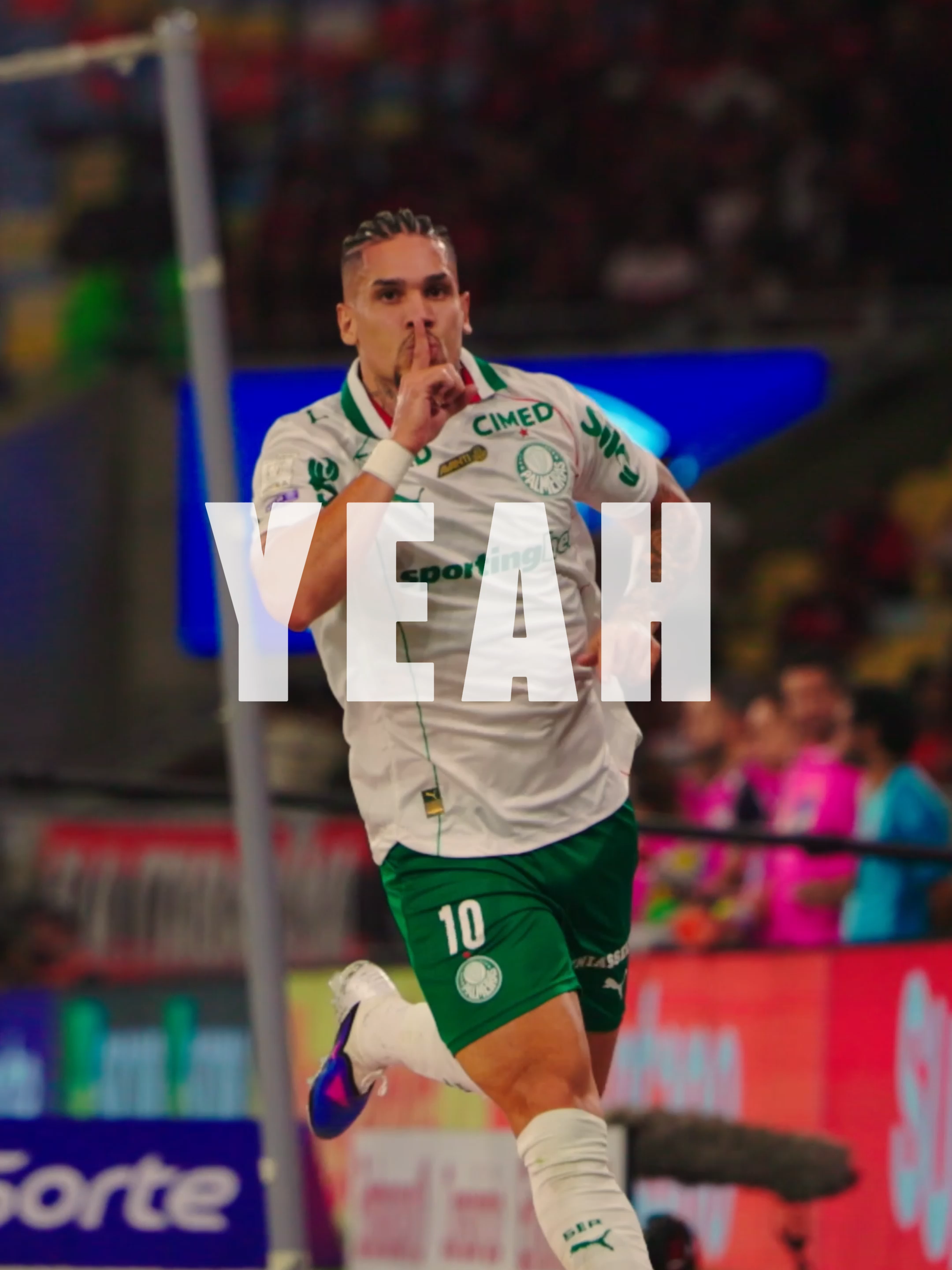 @SE Palmeiras