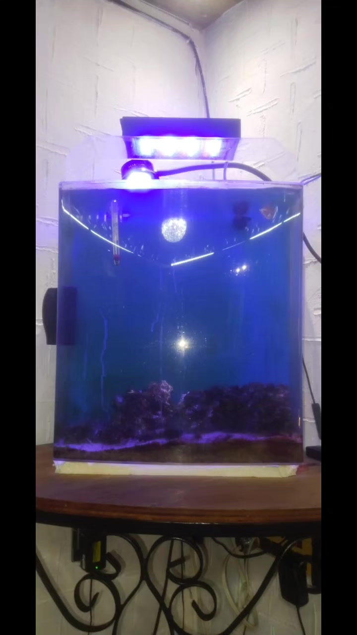 @Rodrigo EXOTIC AQUARIO