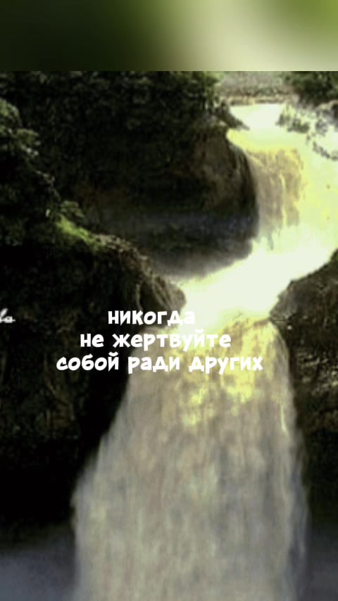 @akitakot2