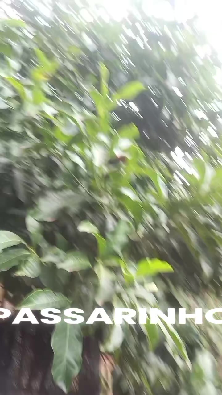 @Pbsergiosilvaoficial