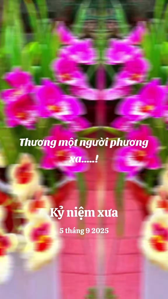 @nguyễn dung