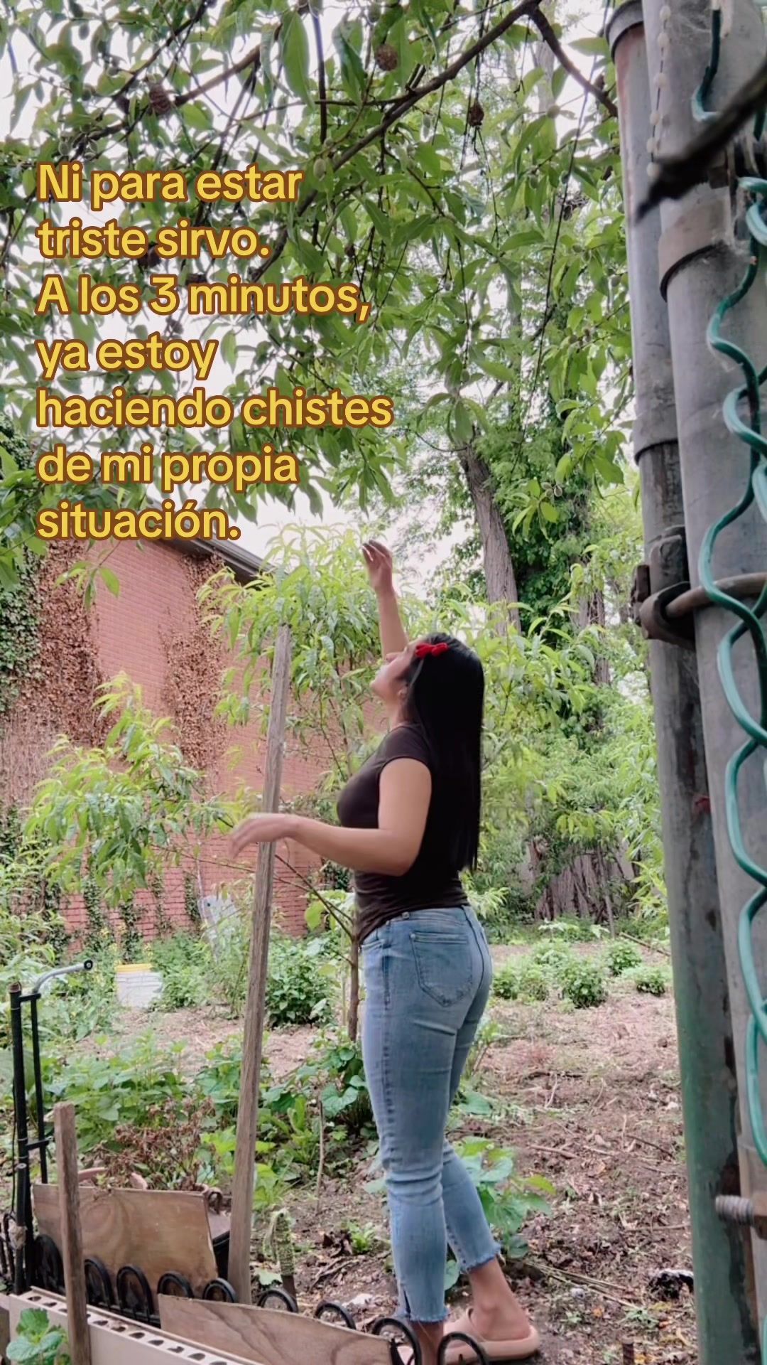 @Nayara 🌻