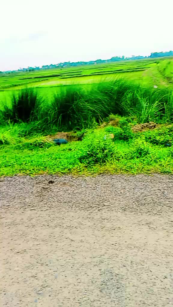 @Shayam Kumar
