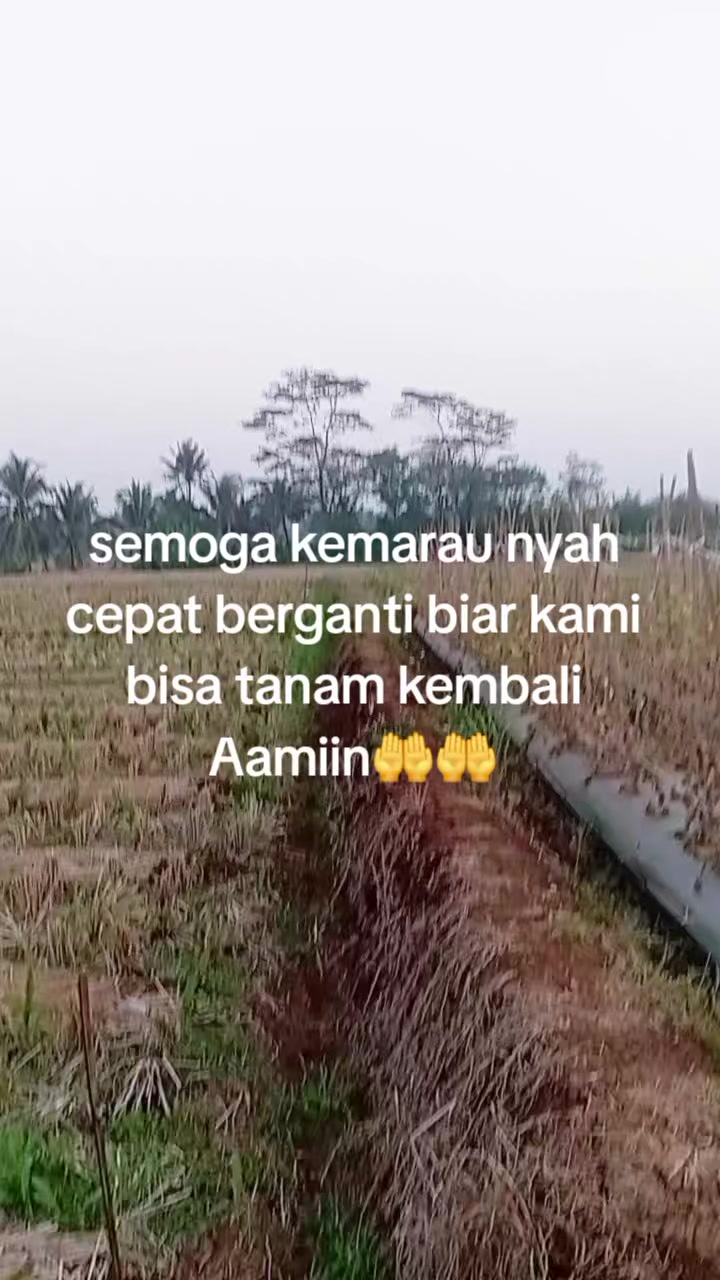 @bang manis 41🇮🇩