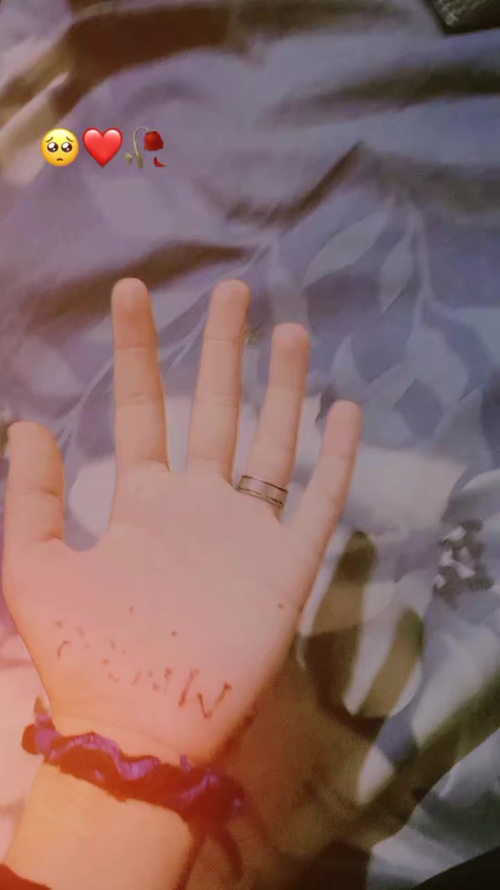 @🌹 °𝗭 𝗲 𝗵 𝗿 𝗮° 🌹❣️