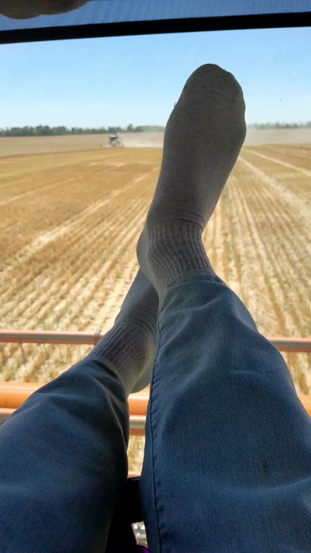 @🔝Просто СЕРГЕЙ 🎶🌾🌻🚜