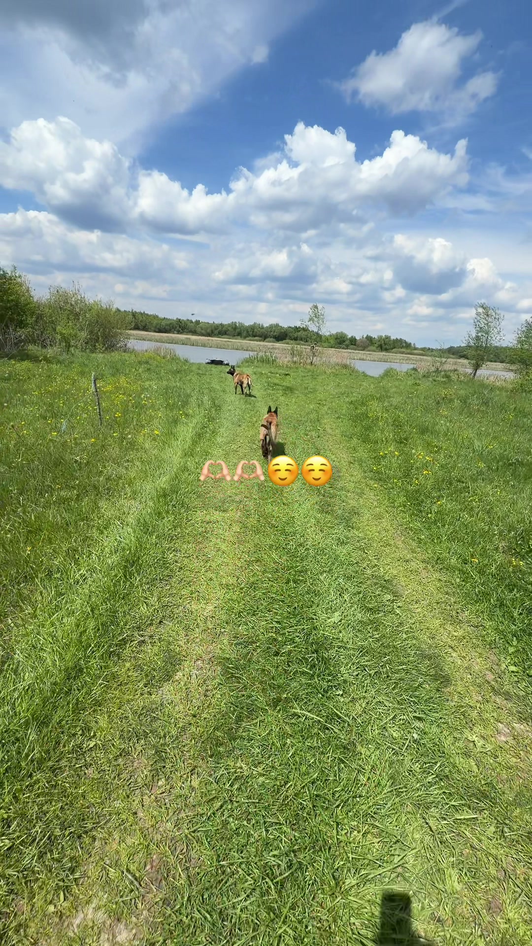 @Lilisha____