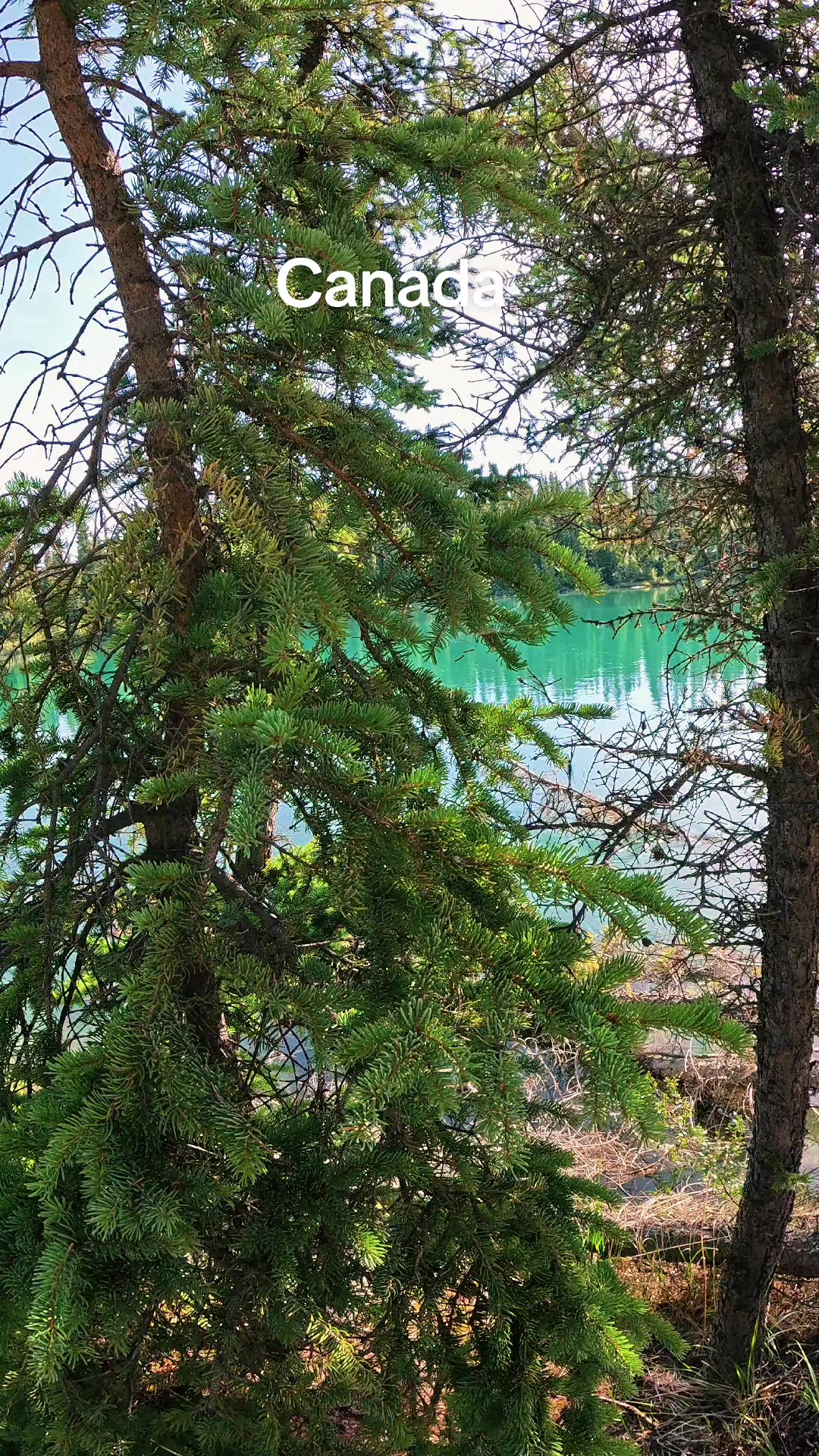 @Lost In Canada