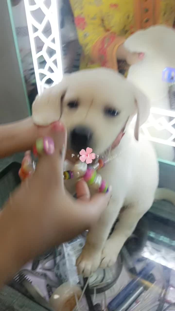 @๐คEโค๏ธ๐ฉน