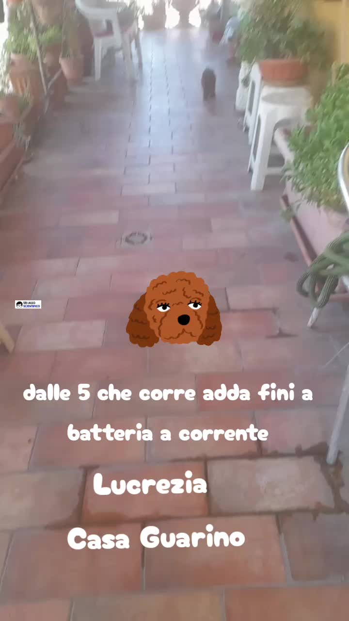 @titty margo lucrezia