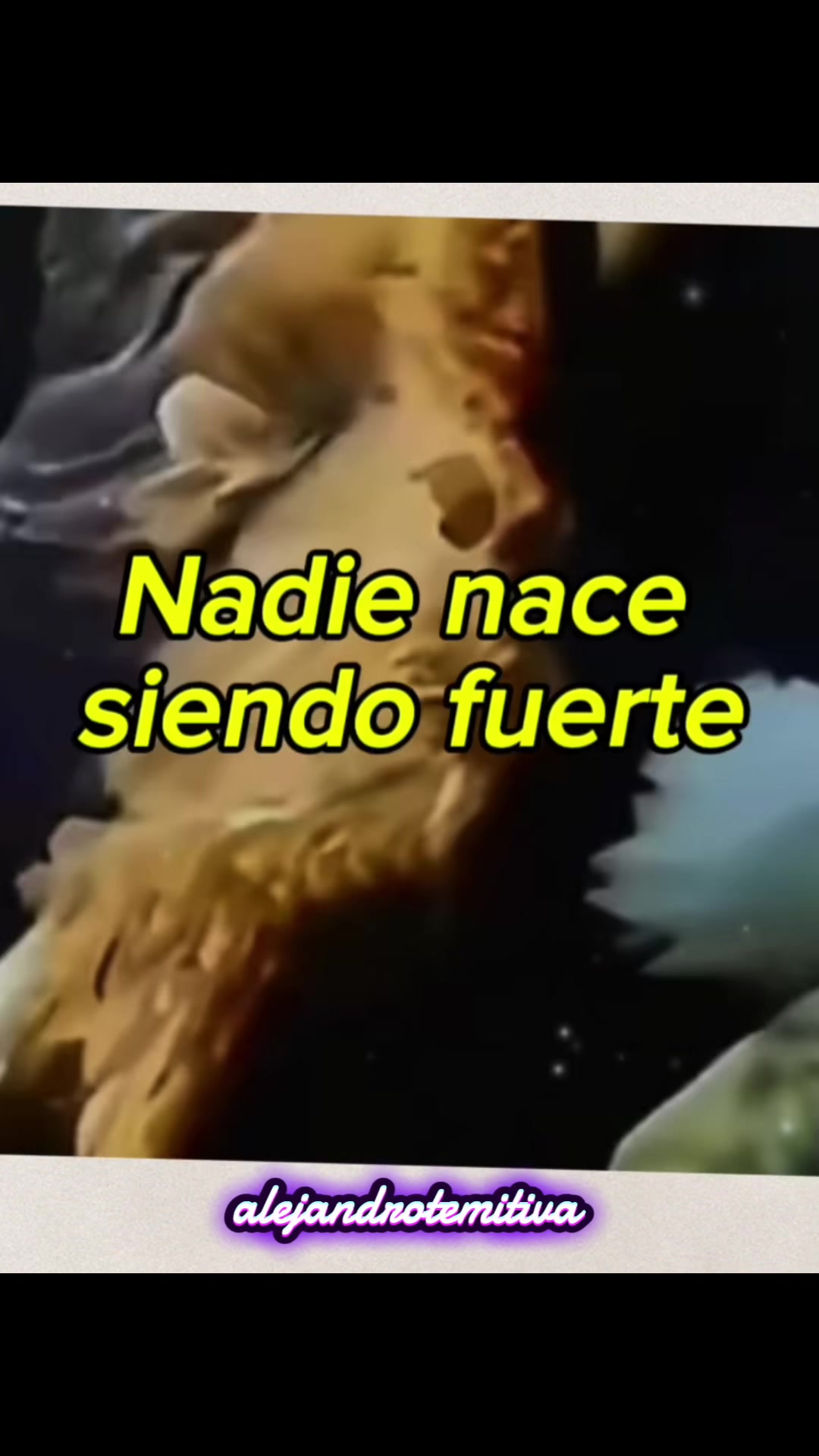@Alejandro🐺te🦅motiva
