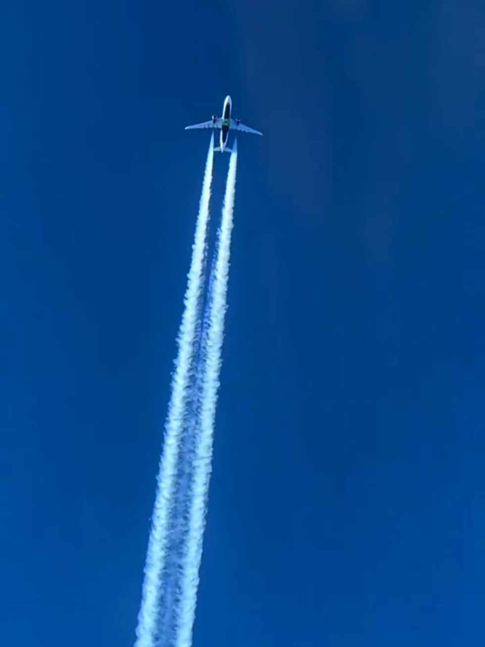 @𝑂𝑣𝑖 🦅