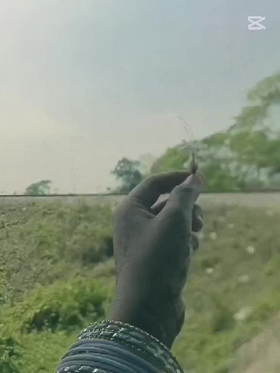 @আব্বু আম্মুর একমাত্র রাজকন্যা