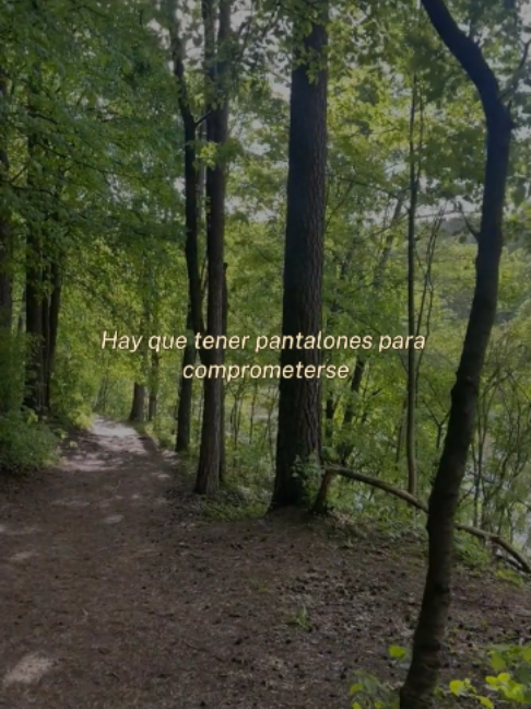@Sanando a tu ex