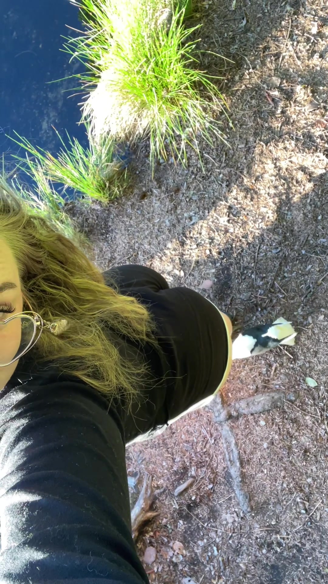 @Ava Paloma🕊️
