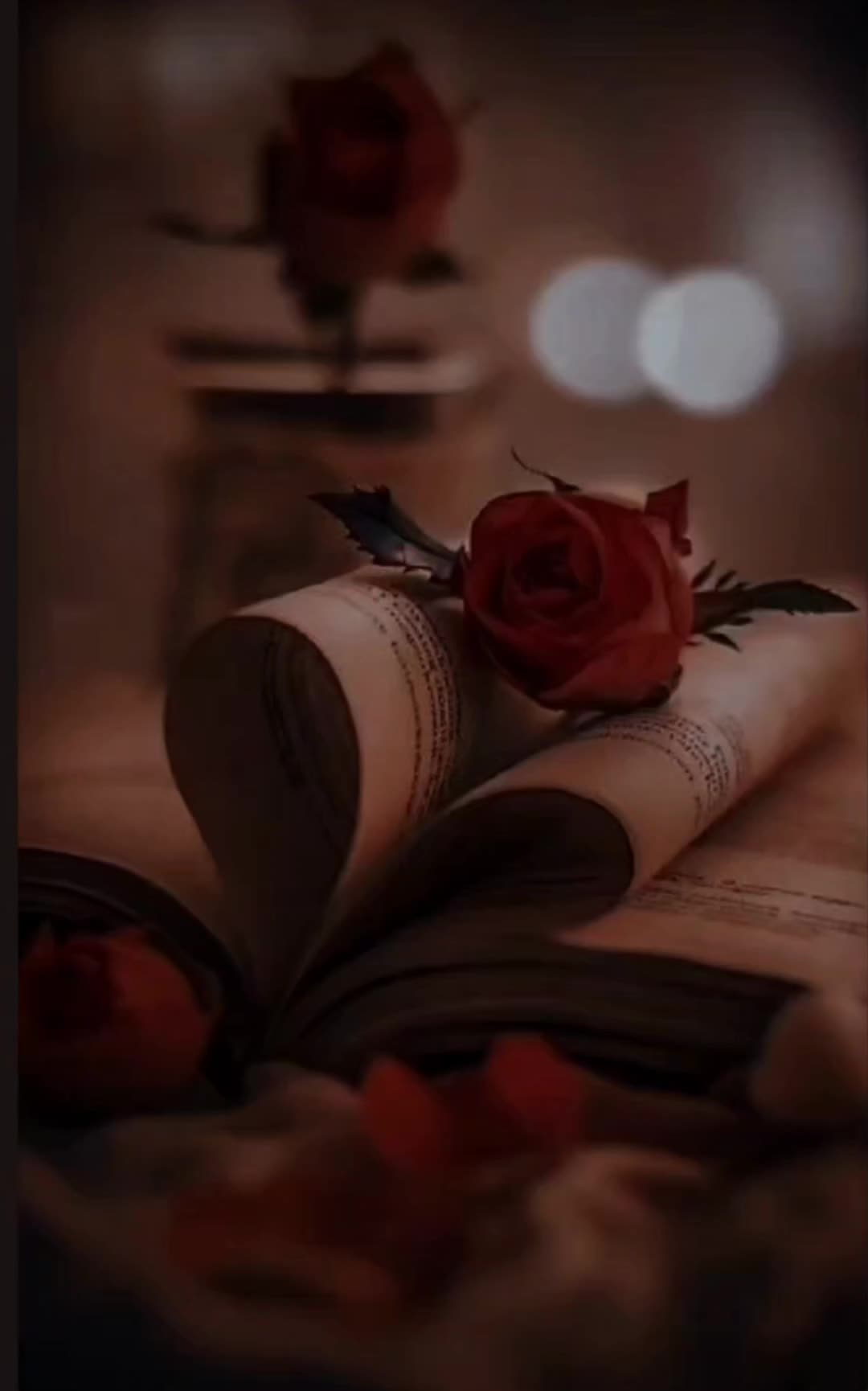 @Shan1313