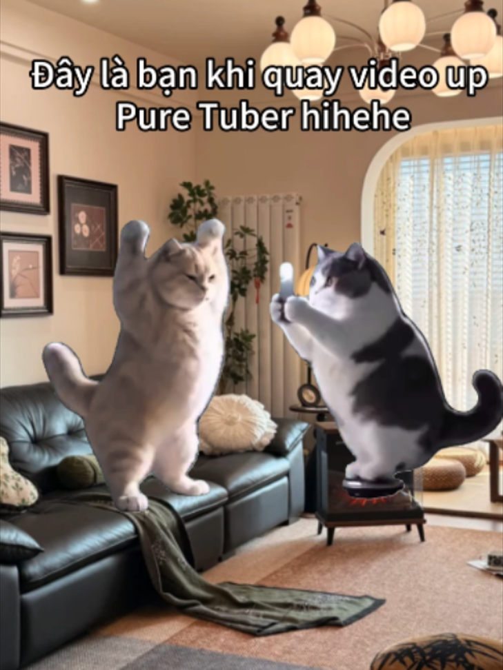@Pure Tuber Vietnam