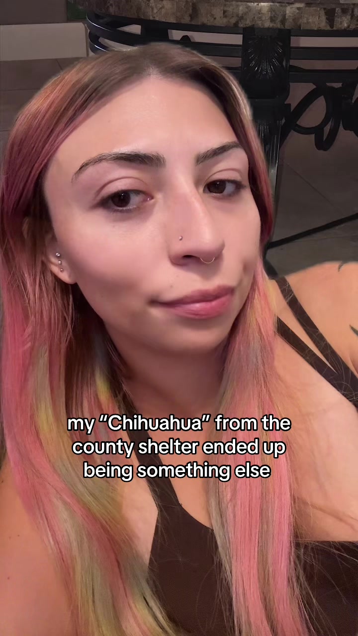 @amber 🖤
