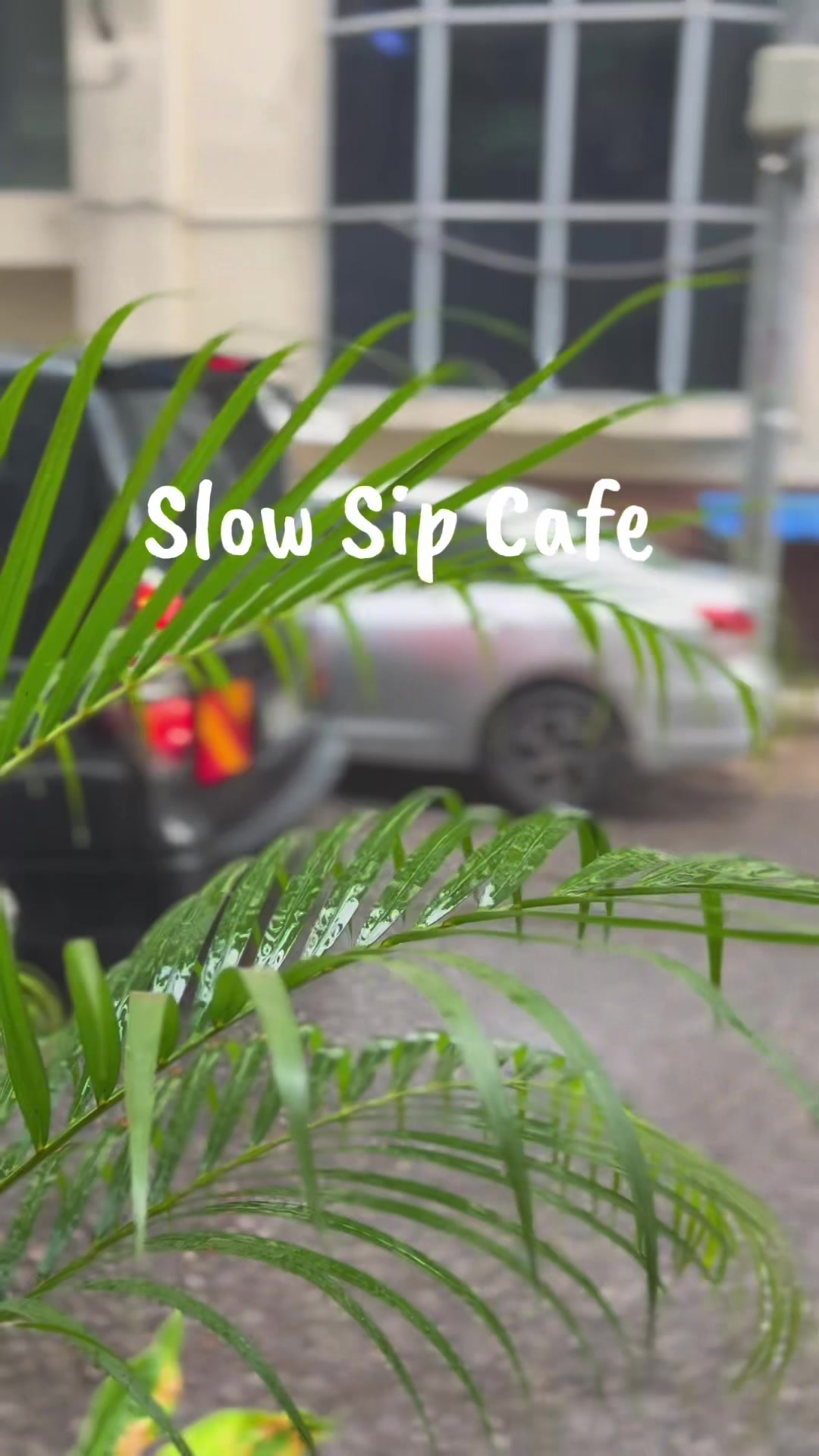 @Slow Sip Cafe