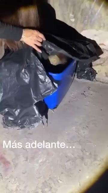 @Cuentos de Terror