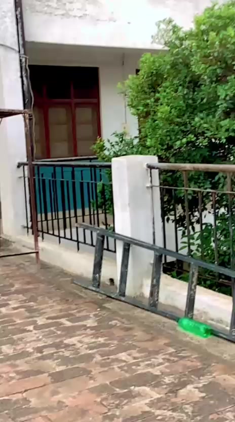 @sanatanha287