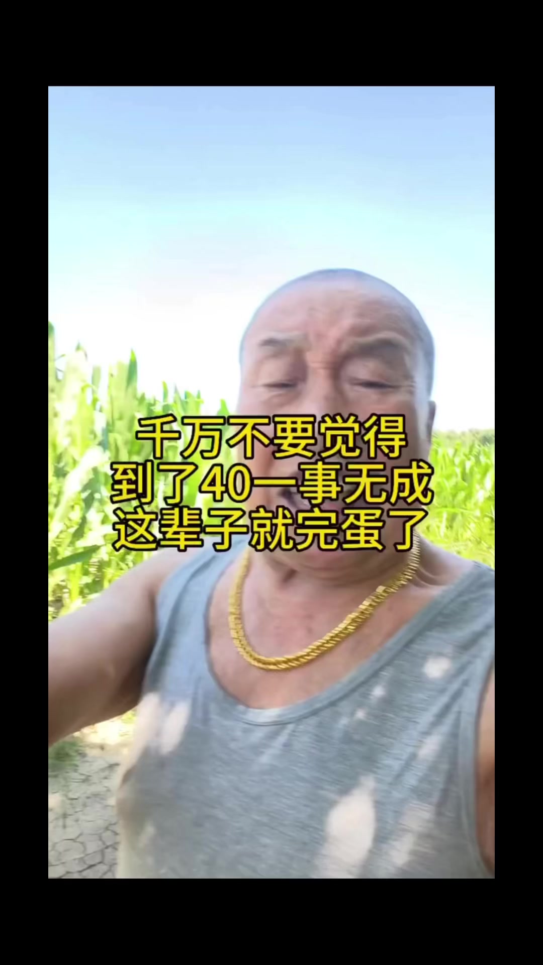 @陳皮