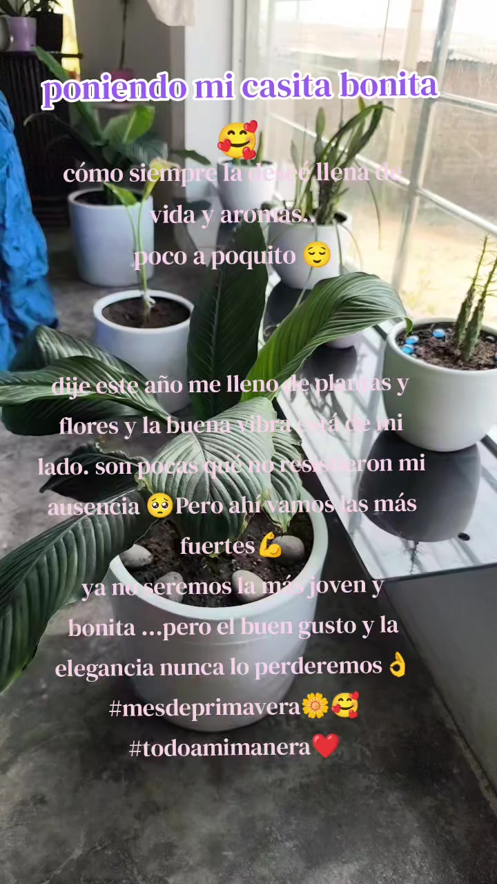 @HELEN❣️ 🐝🦋 RAYO DE LUZ 🦋🐝
