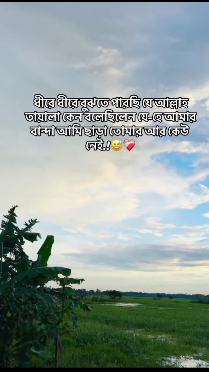 @💫🥀 ⊶N⊶O⊶Y⊶O⊶N⊶🥀💫