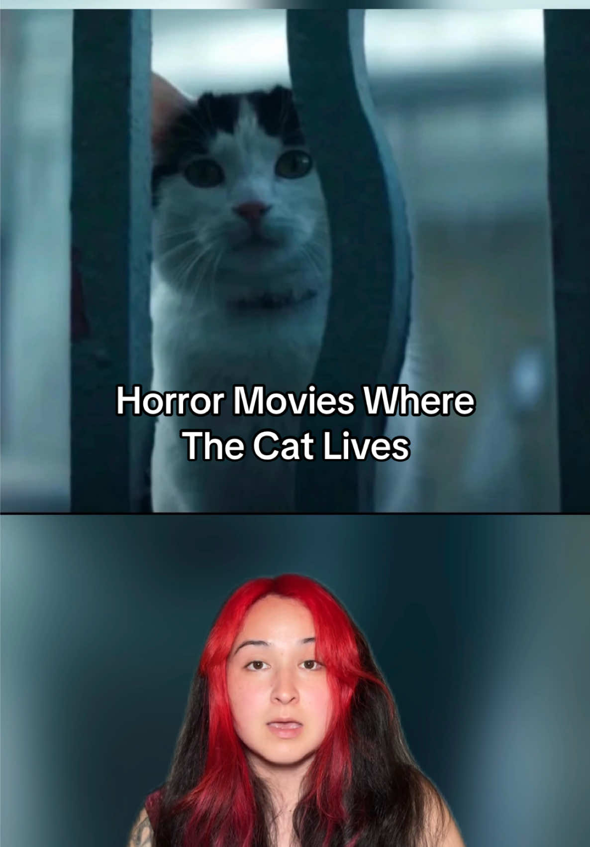 @Allie Tran