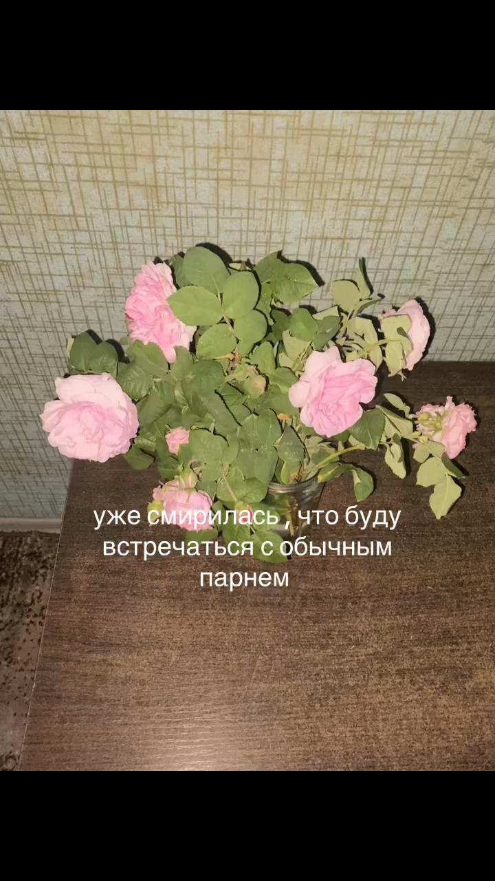 @Аля:/