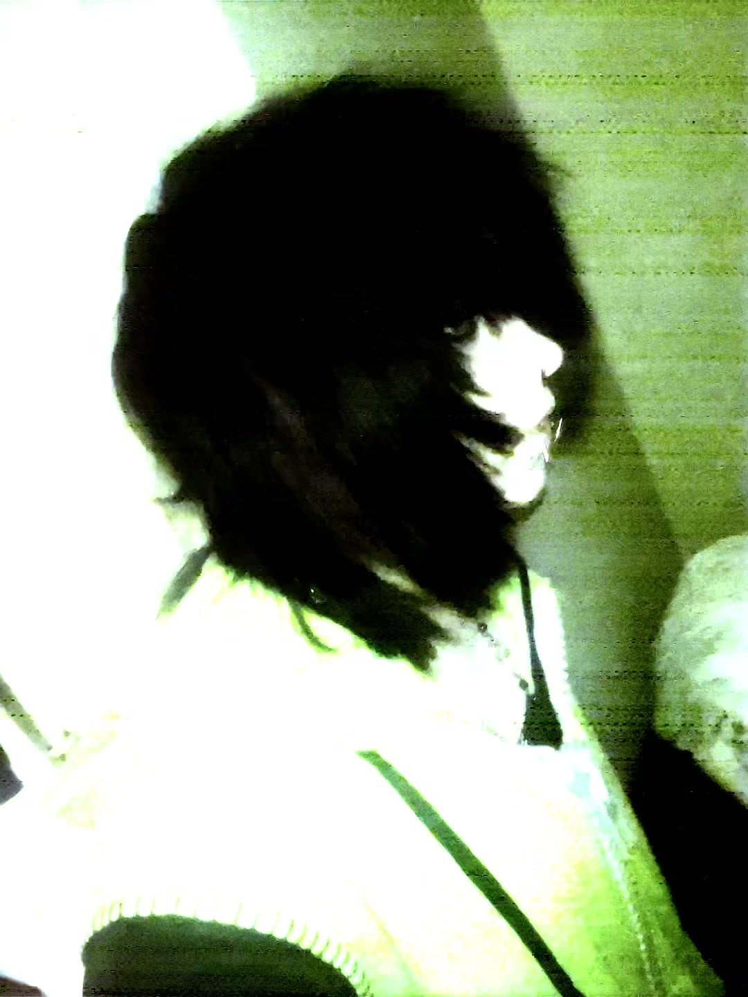 @Nikkolas Lee / vince