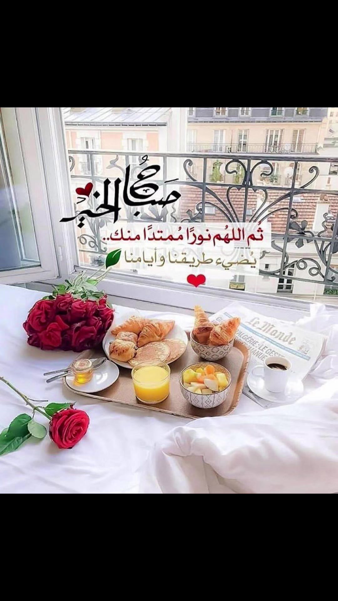 @abohashem123