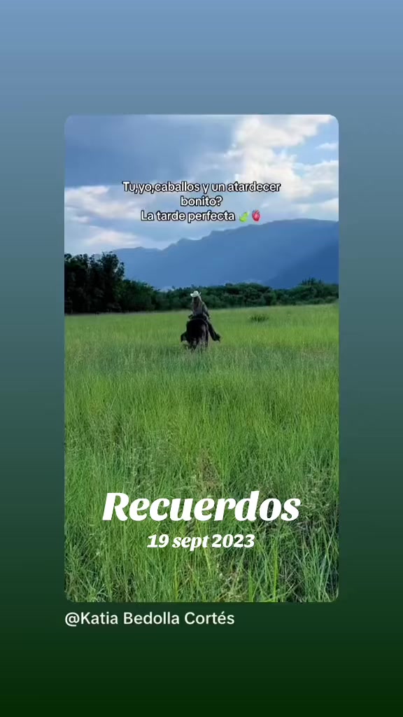 @karla.dgo