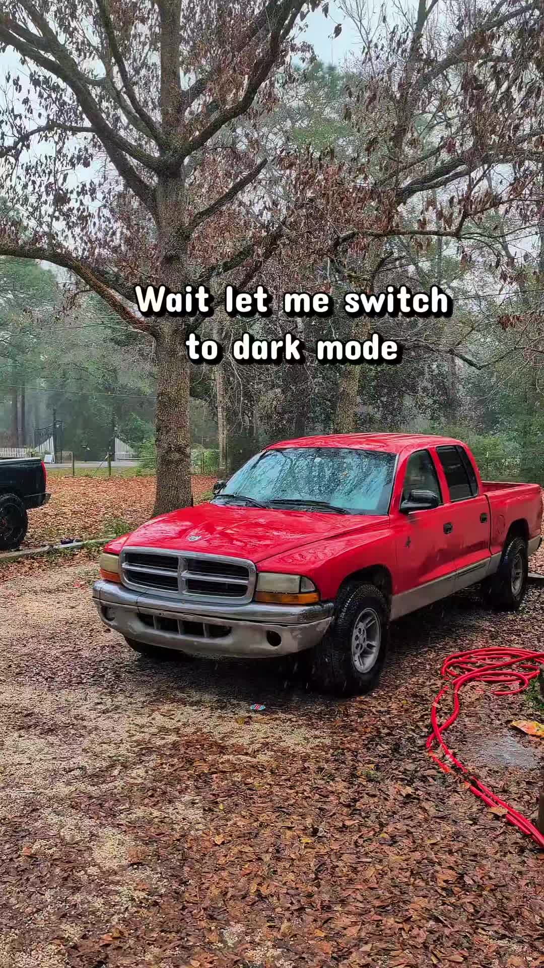 @wiredsquirrel13