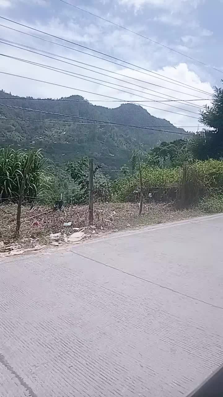 @M🥰🥰P😘