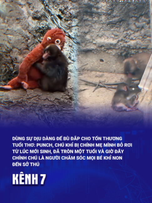 @Kênh 7 Breaking News