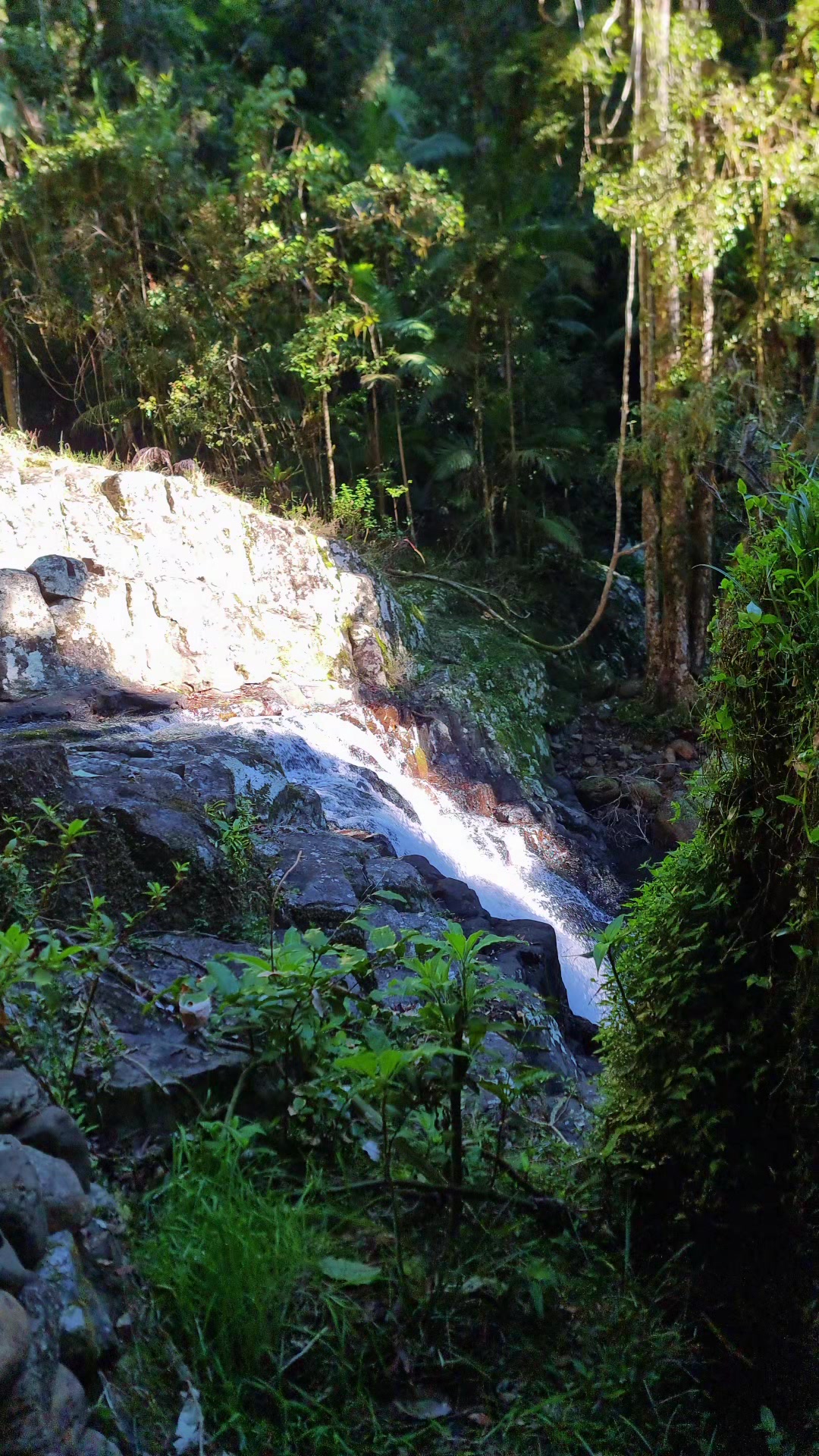 @Aces hike tok
