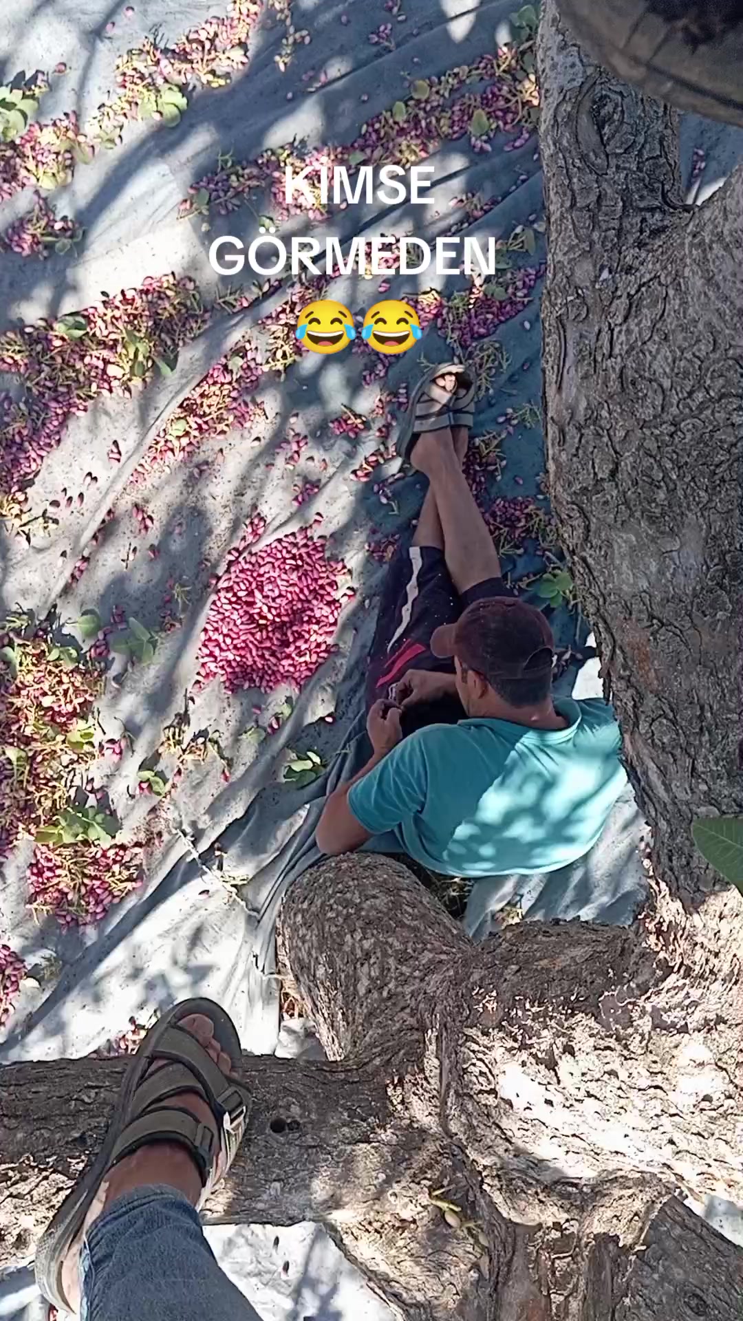 @Nejat Ergin