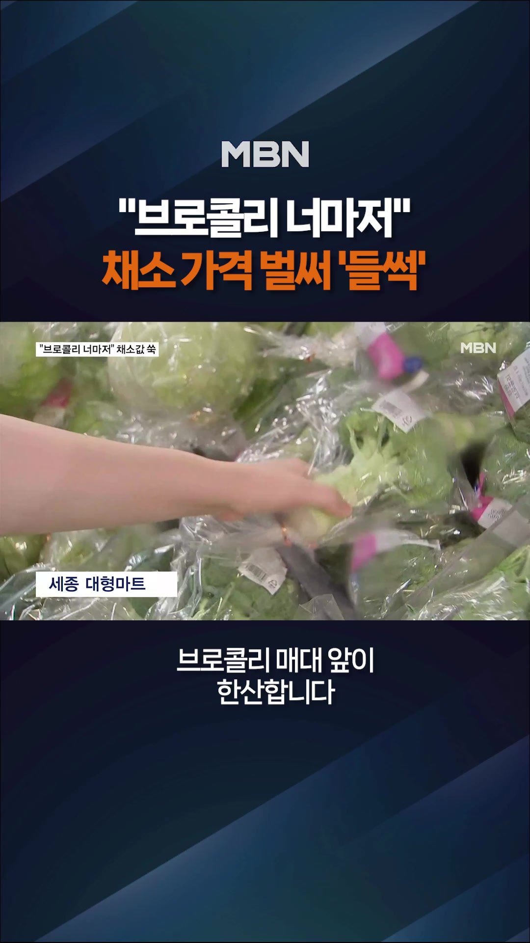 @MBN NEWS