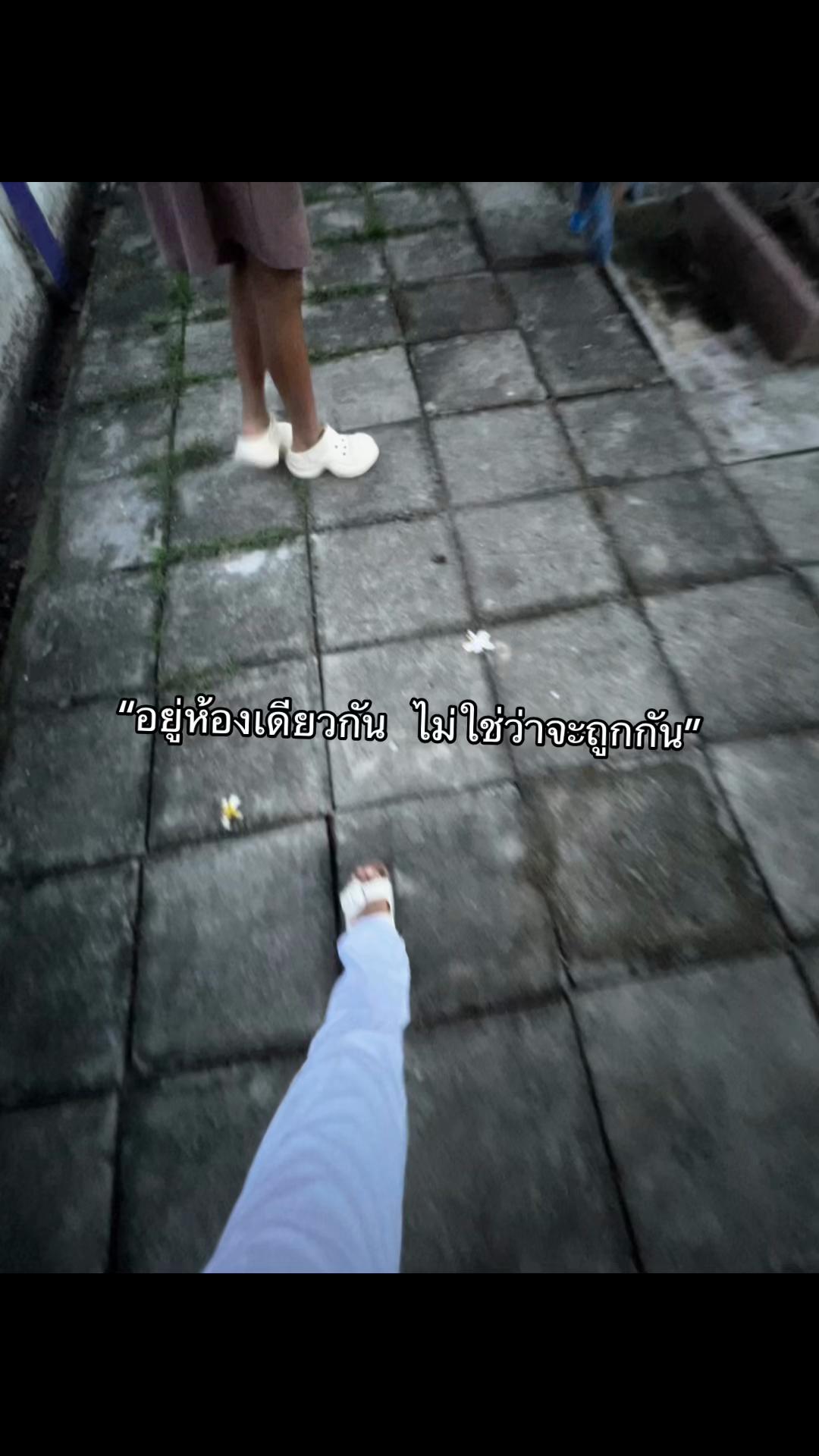 @เธรดรวม. (2.6k)
