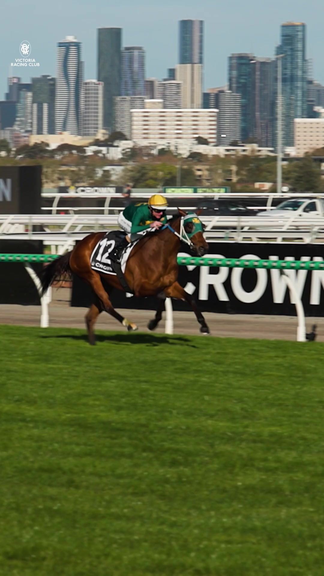 @VRC || Horse Racing
