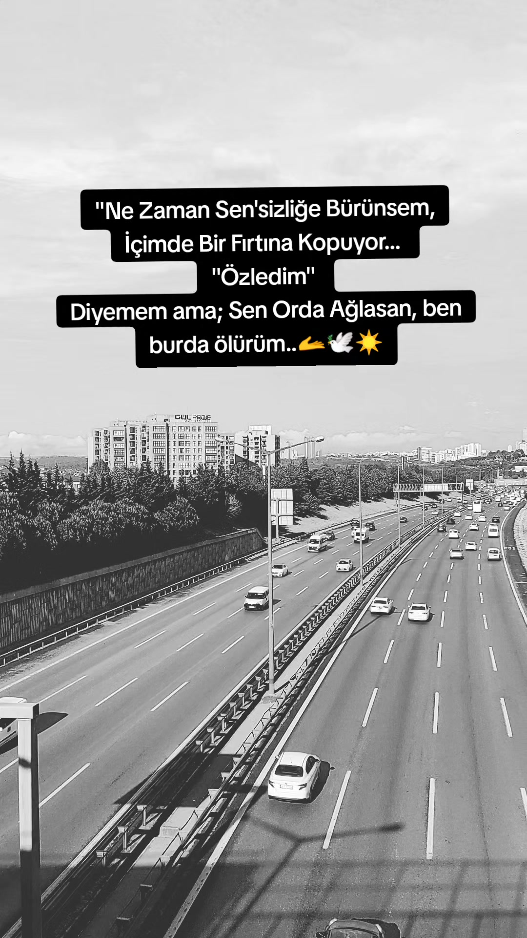 @🔏ŞİİRLERİN KRALİÇESİ🔏