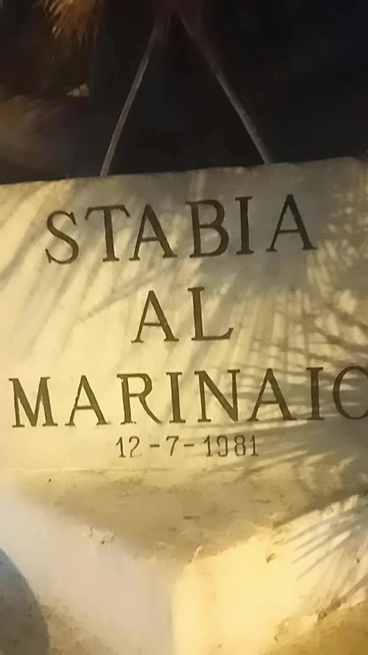 @cinziacatapano014