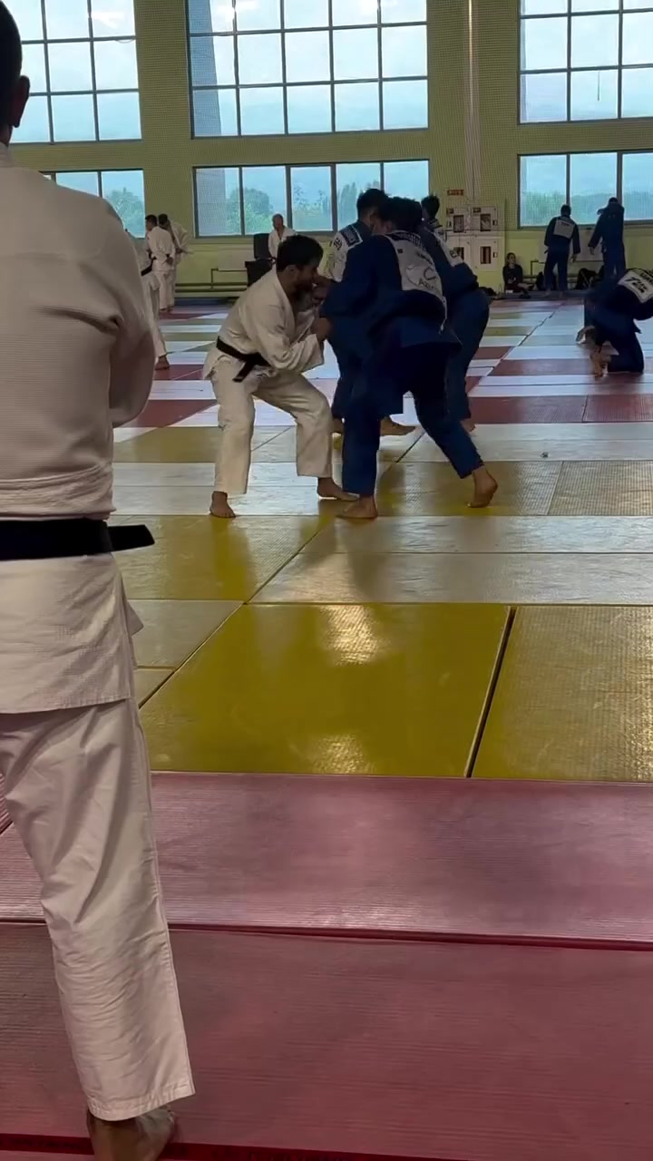 @mir_judo