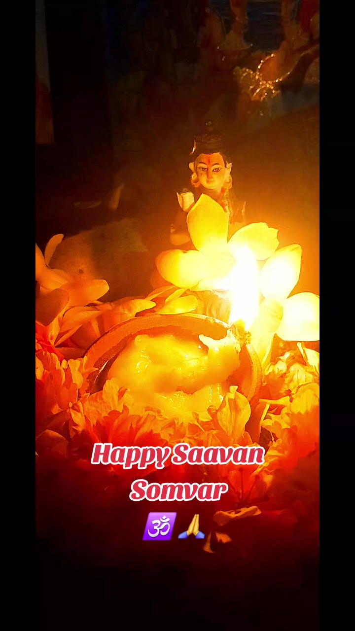 @Shiwani Parsadi