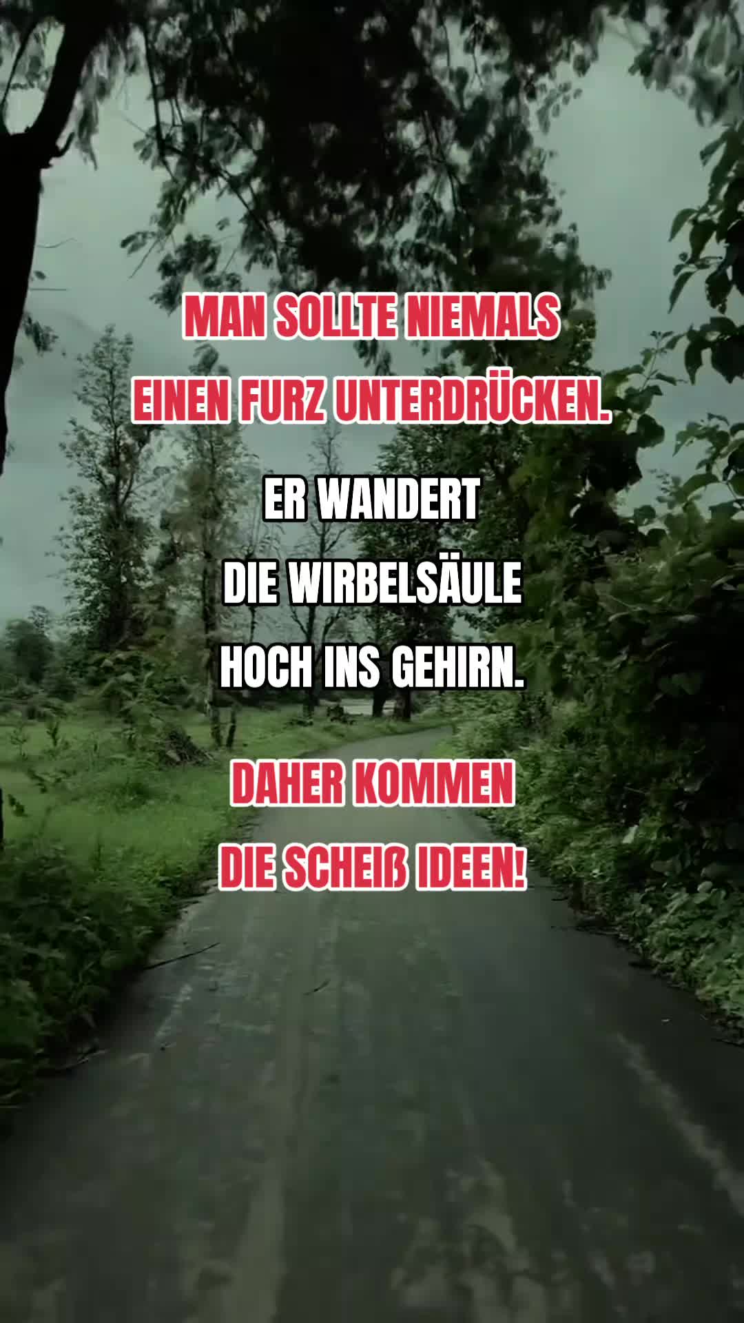 @Tԋαƚ'ʂ Mҽ Mαɳυ🖤🤘